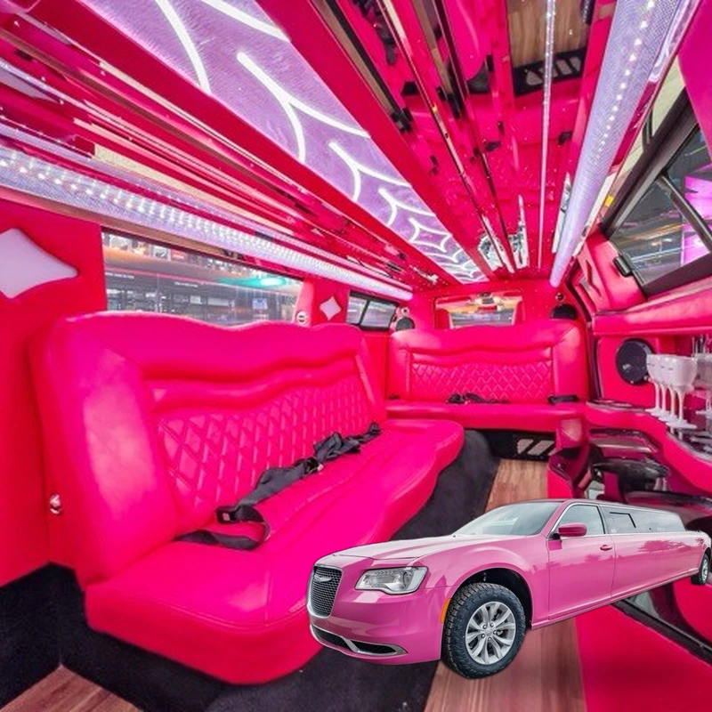 10 Passenger Pink Limo