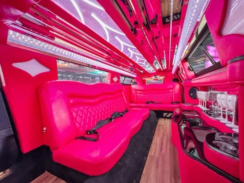 image of 10 passenger pink Chrysler limousine interior taken from rear seats