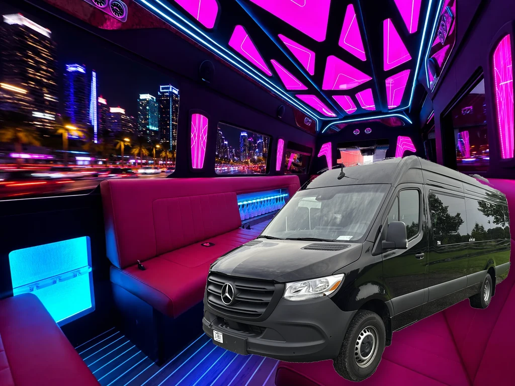 20 Passenger Intimate Party Bus title image