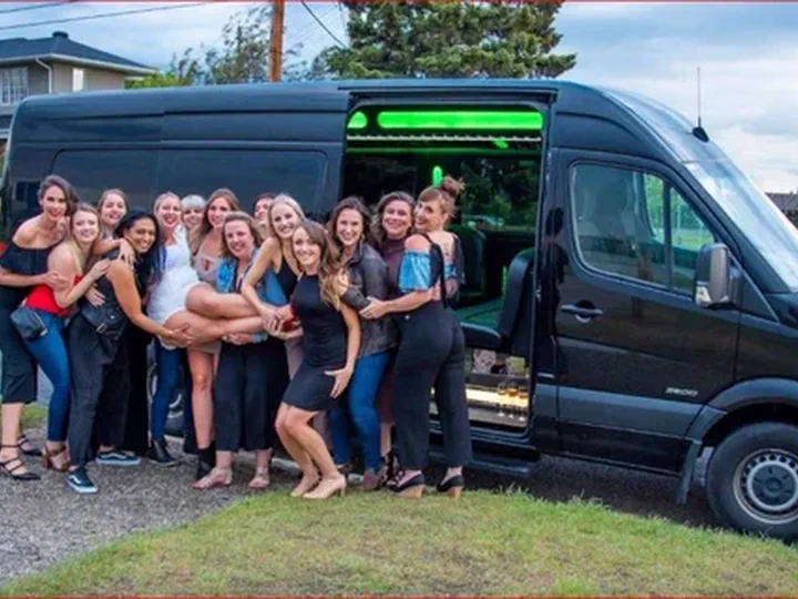 image of 16 passenger Mercedes mini party bus